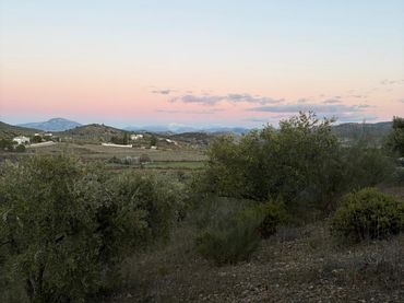 Terreno rustico in vendita a Priego de Córdoba