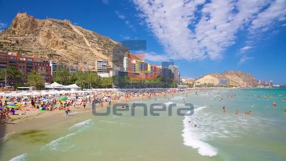 Appartamento in vendita a Pla - Carolinas, imagen 19