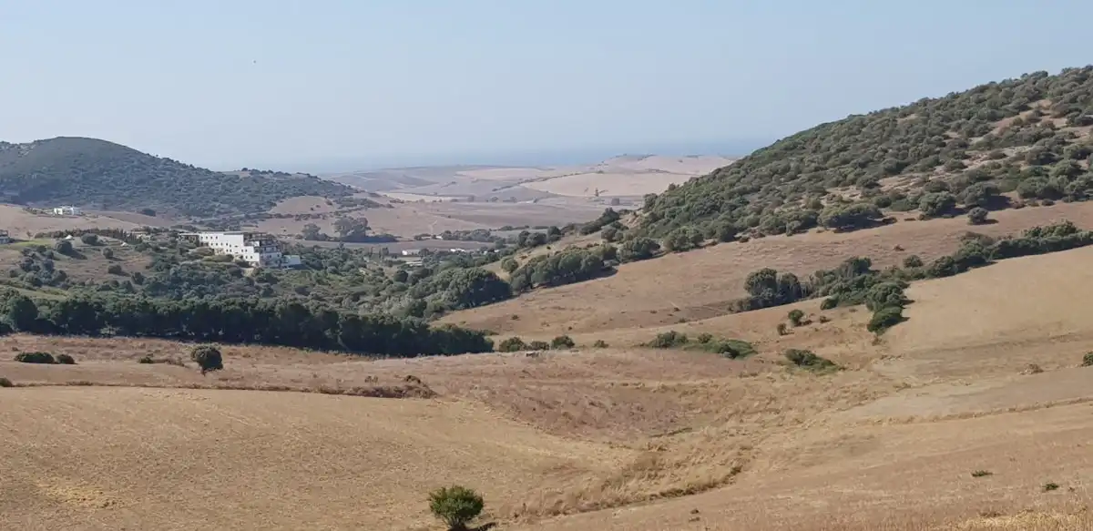 Terreny rústic en venda a Vejer