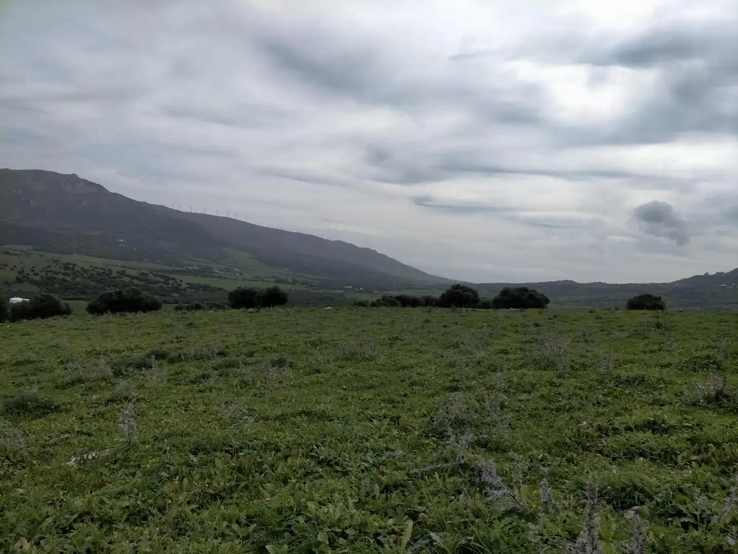 Grundstücke und Bauplätze zum Verkauf in Tarifa ciudad, imagen 3
