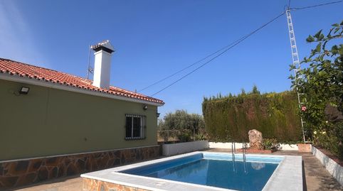 Foto 5 de Finca rústica de lloguer a Camino Los Trasouiladeros, Alquería - Torrealquería, Alhaurín de la Torre