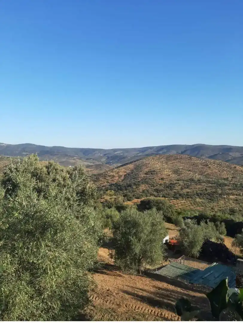 Terreno en venta en Villaharta, Córdoba