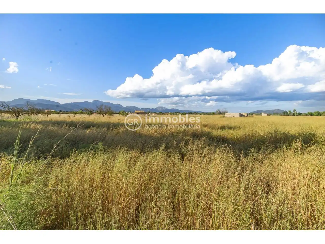 Terreno rustico in vendita a Calle major, imagen 3