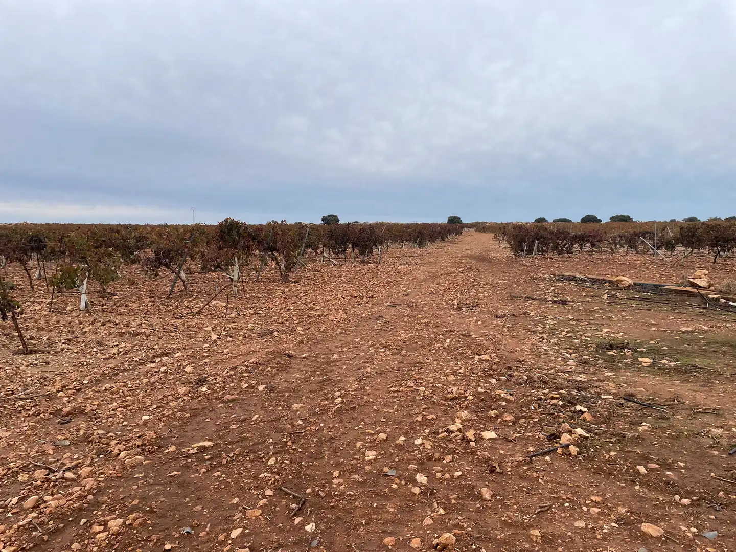 Terreno rustico in vendita a TO-2999 5, imagen 12