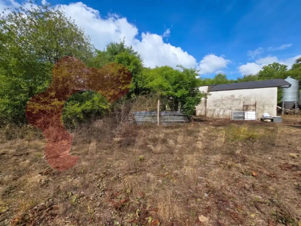 Casa o chalet en venta en Baralla