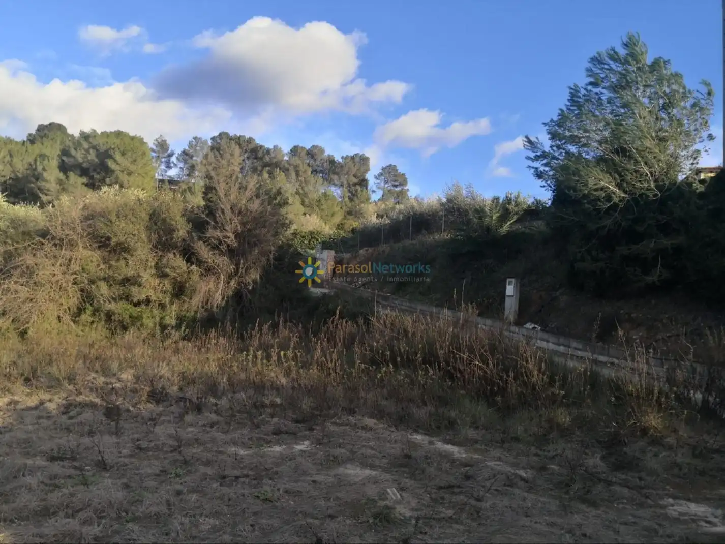 Rural land for sale in Benigànim, imagen 2