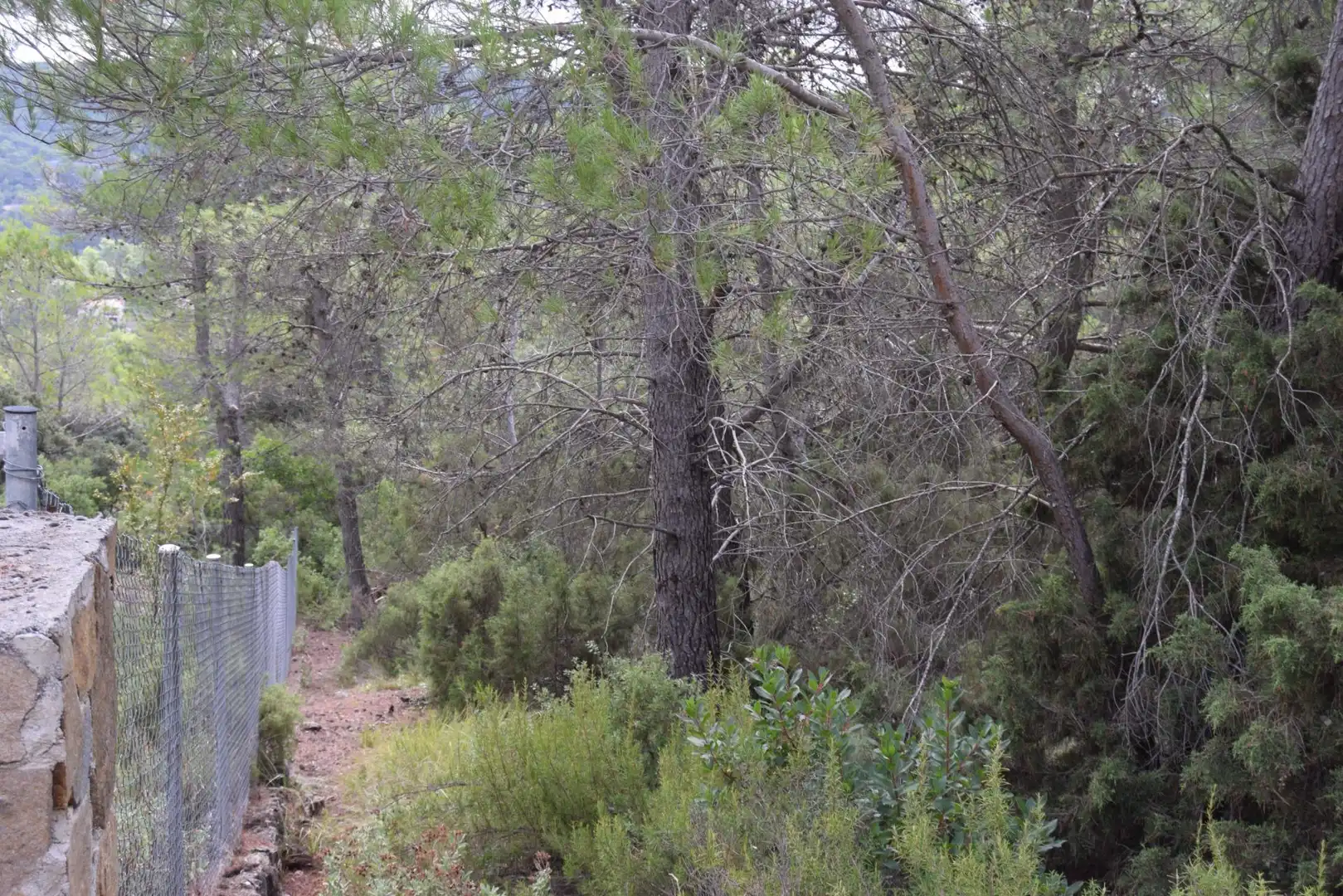 Residential land for sale in Calle Nueva Sierra CR, imagen 7