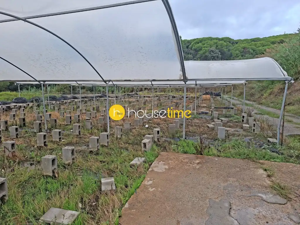 Terrain rustique à vendre à Sant Cebrià de Vallalta, imagen 33