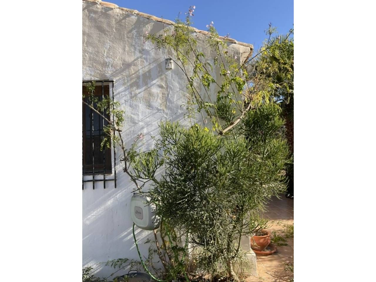 Jardí de Casa o xalet en venda en Cartagena amb Aire condicionat, Jardí privat i Piscina