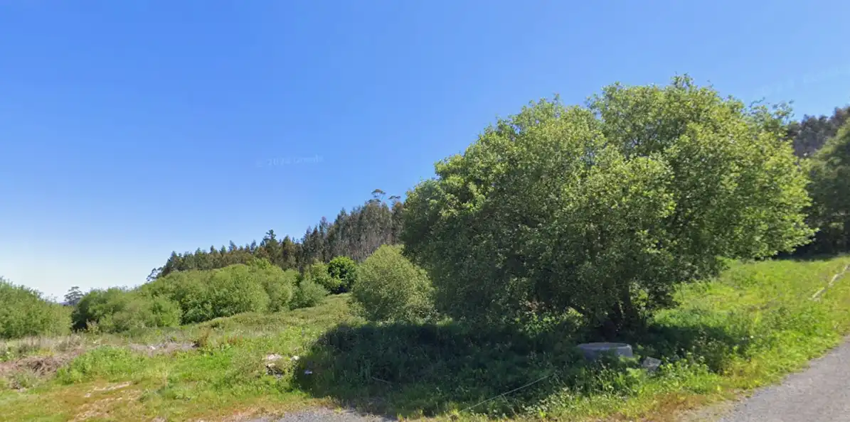 Rural land for sale in Rosende 17, imagen 3