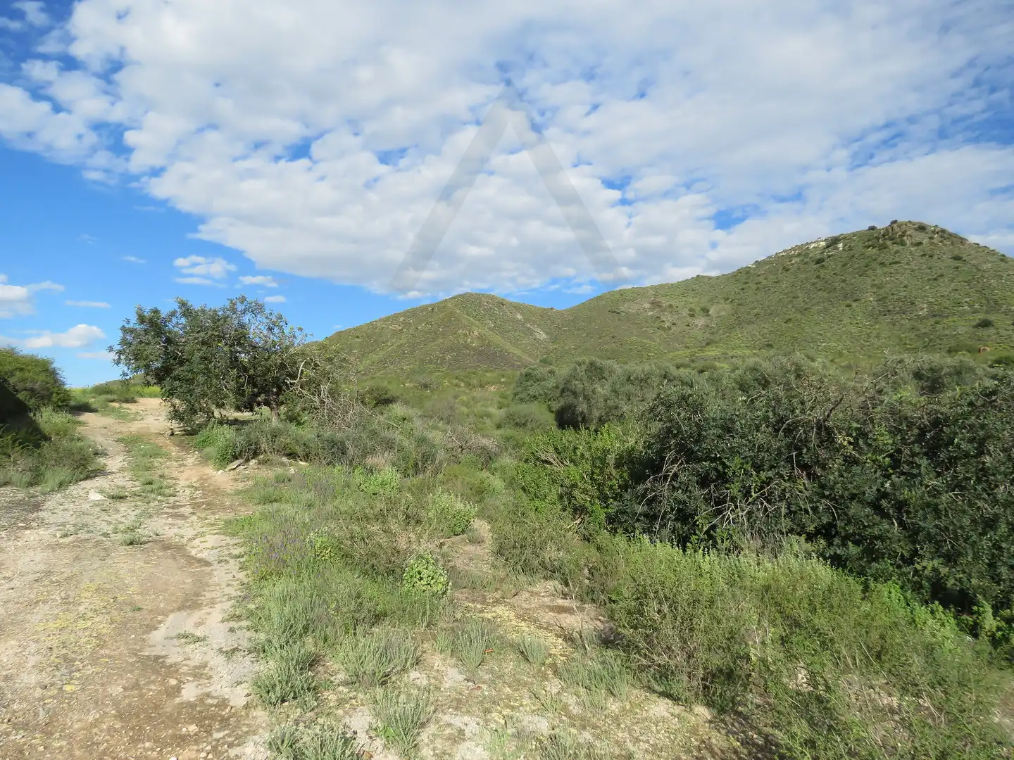 Exterior view of Land for sale in Cartagena