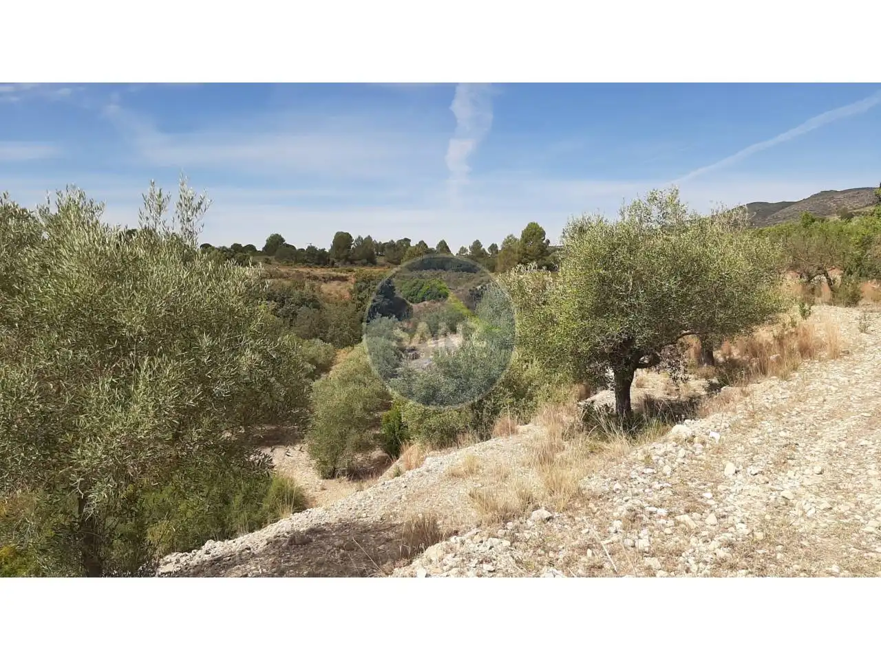 Terrain rustique à vendre à Calle Partida la Baronia, imagen 10