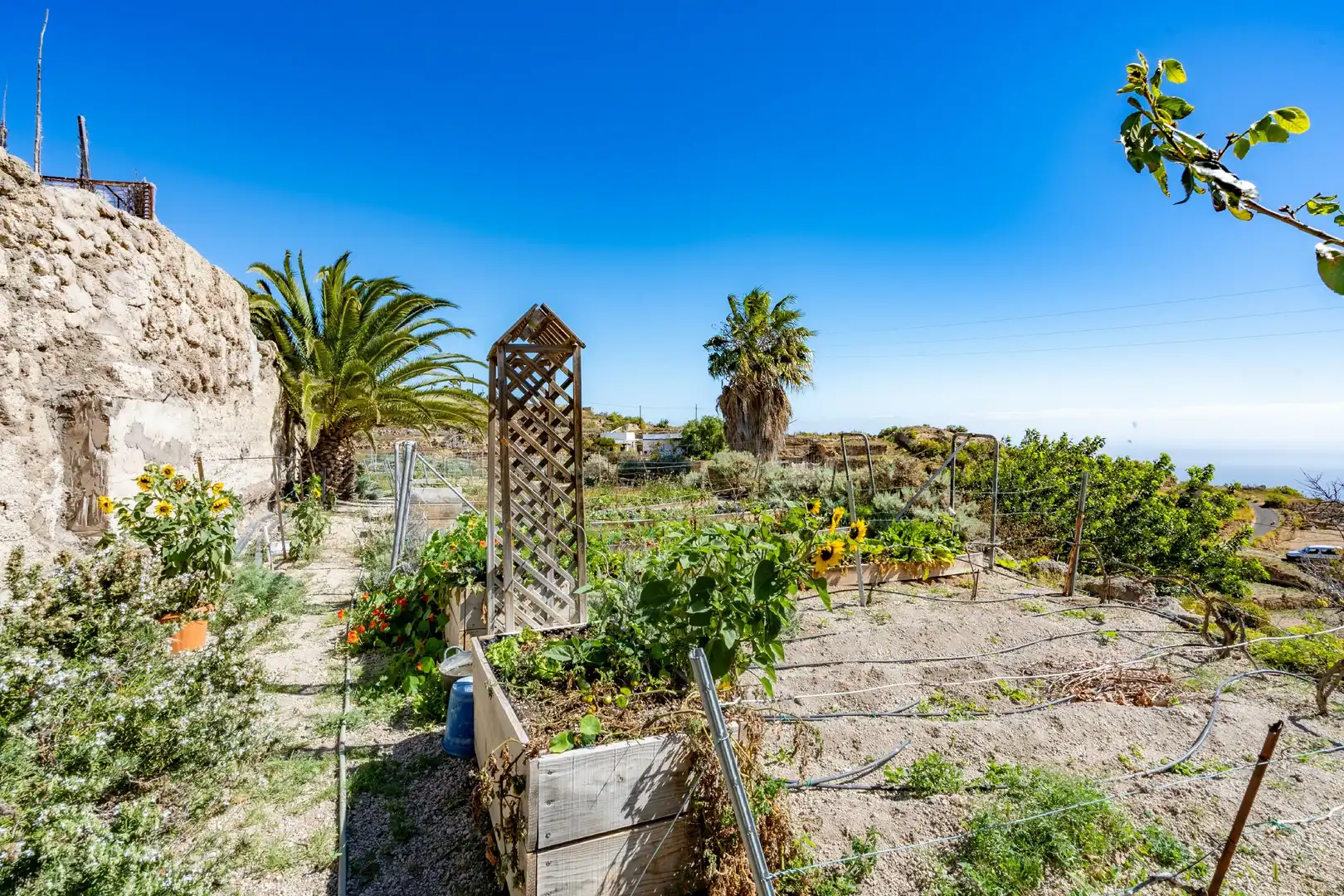 Finca rústica en venda en Güímar amb Jardí privat, Terrassa i Moblat