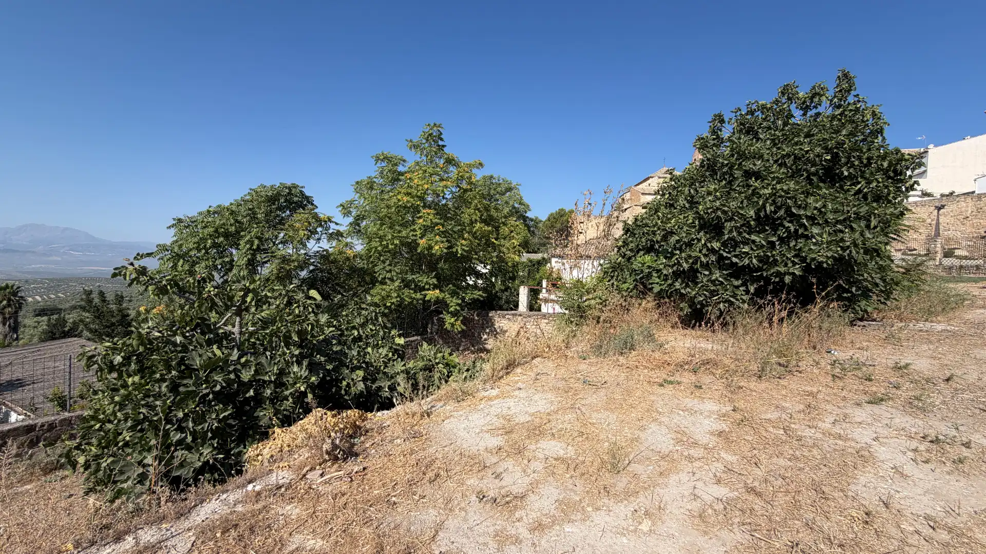 Terrenos y solares en venta en Calle Cotrina, imagen 8