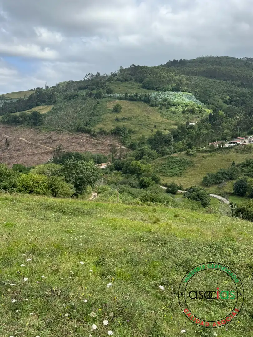 Terreny en venda en Villaviciosa