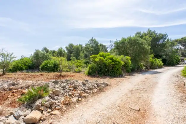 Residential land for sale in Centro ciudad, imagen 10