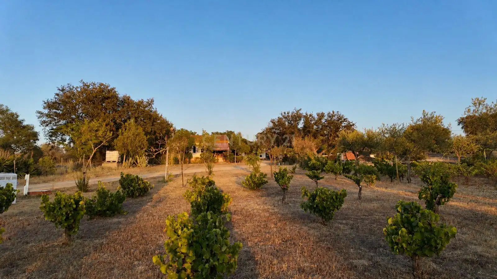 Casa amb jardí en venda a Arroyo de la Luz, imagen 22