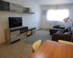 Living room of Flat to rent in  Lleida Capital  with Heating and Furnished