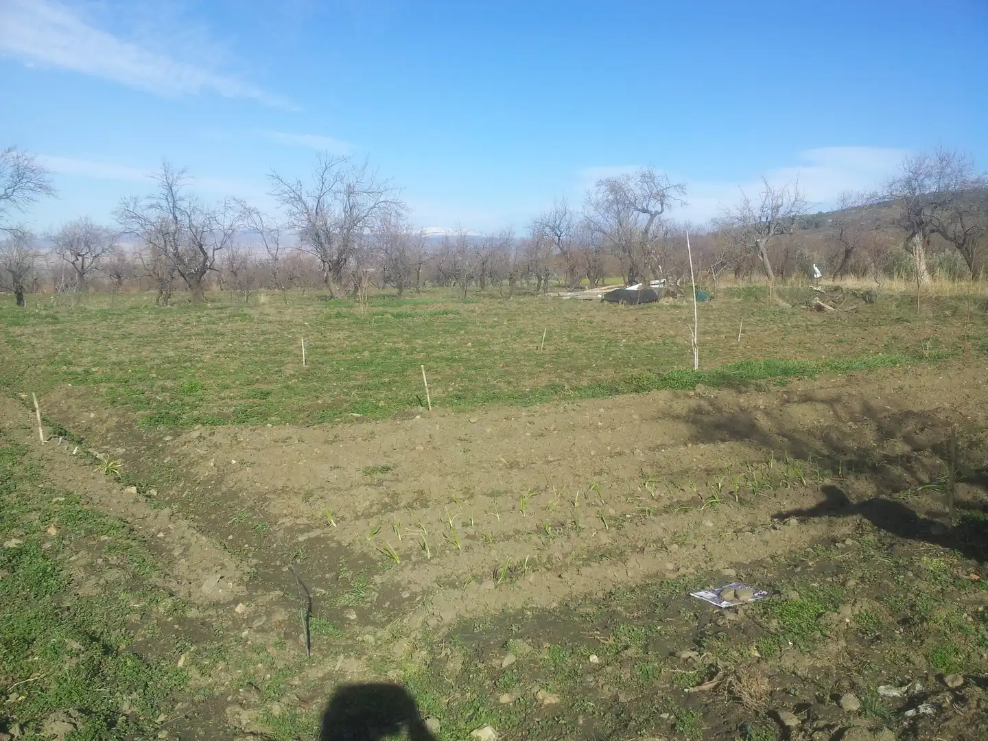 Lands and plots for sale in Lanteira, imagen 4