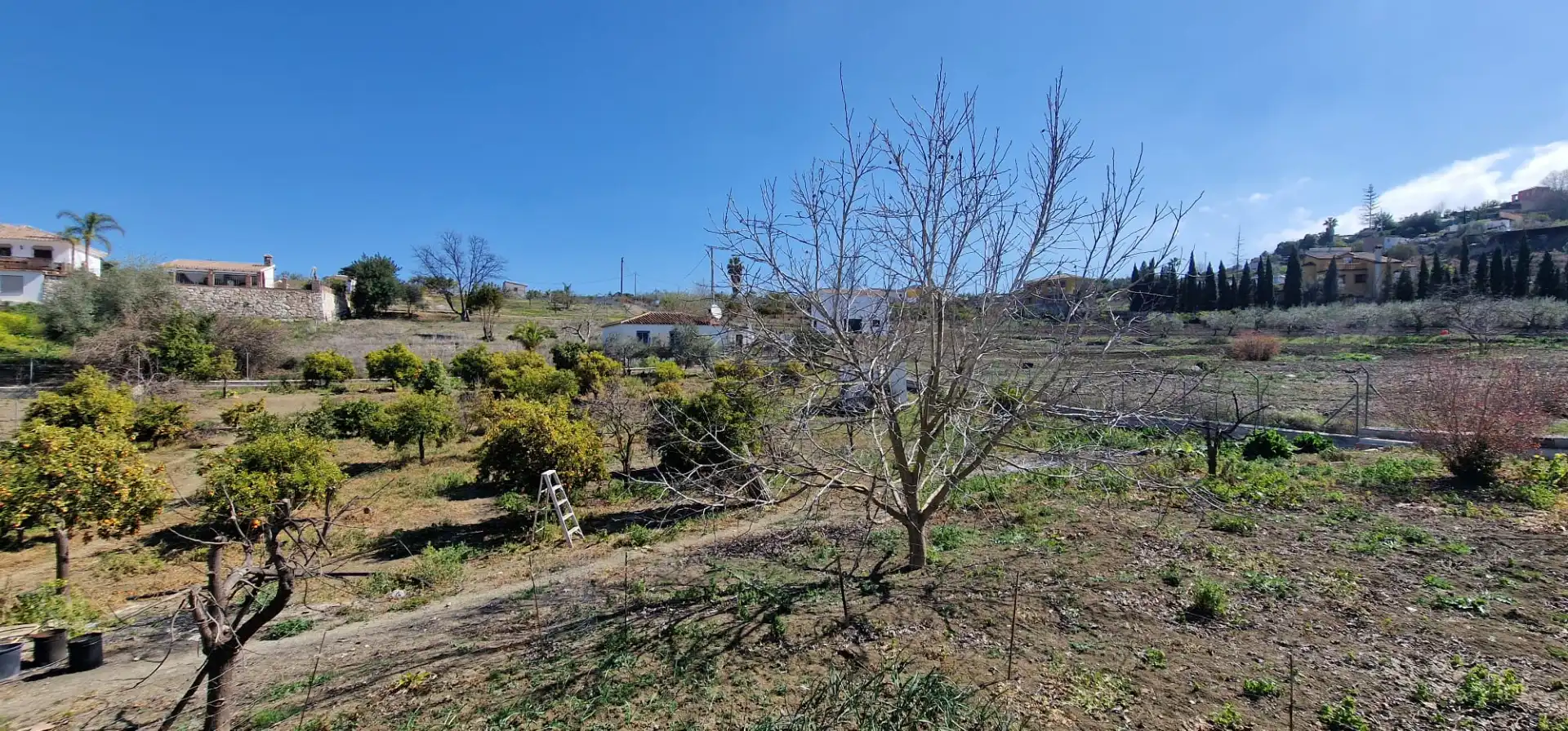 Casa rústica amb piscina en venda a Coín, imagen 19