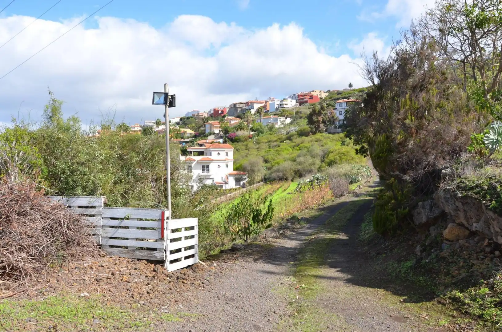 Vista exterior de Casa o chalet en venta en Santa Úrsula con Jardín privado, Terraza y Trastero