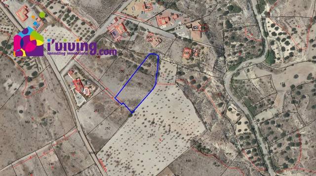 Terreno en Venta en Albox