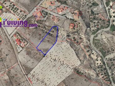 Terreno rustico in vendita a Albox