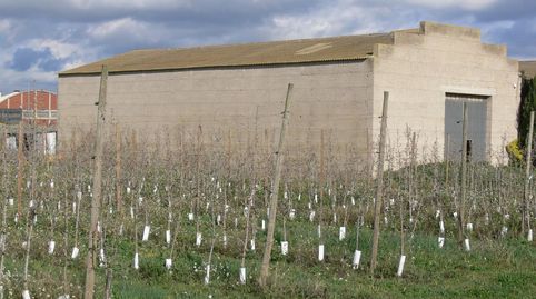 NAVE INDSUTRIAL  PLANTACIÓN DE FRUTALES, image 5