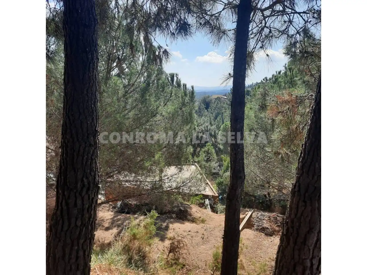 Terrenos y solares en venta en Riudarenes, imagen 6