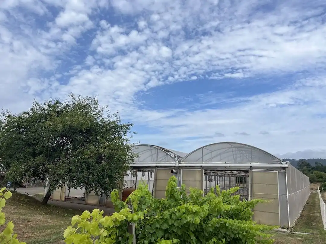 Terrenys i solars en venda a Llanera, imagen 30