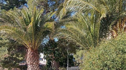 Foto 5 de Casa o xalet en venda a Petrer, Alicante