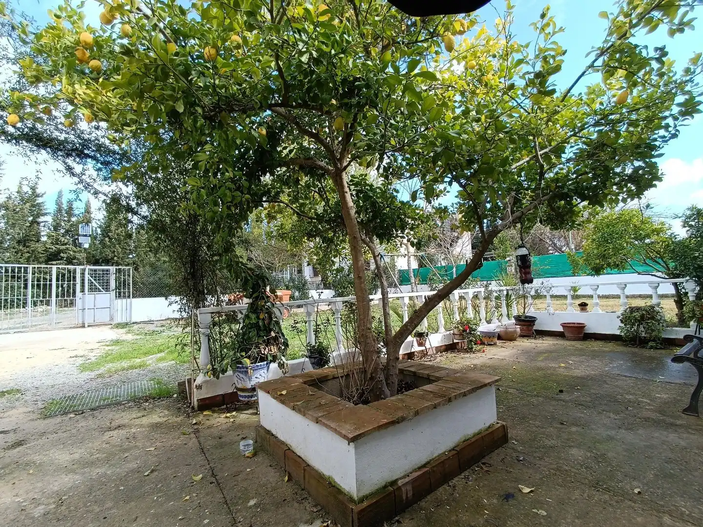 Casa rústica amb piscina en venda a Villamartín, imagen 5