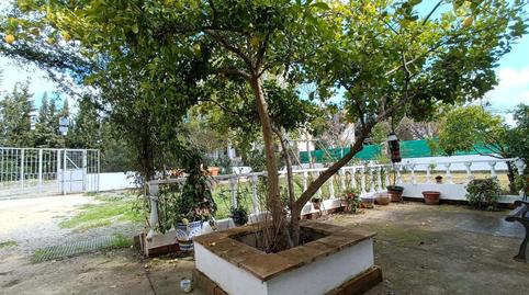 Foto 5 de Finca rústica en venda a Villamartín, Cádiz