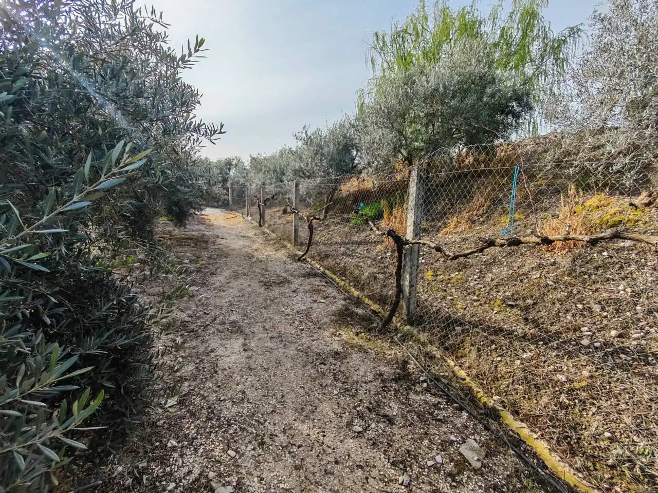 Terreni e lotti in vendita a Huétor Tájar, imagen 25