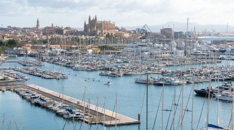 Photo 2 of Apartments for sale in La Calatrava, Palma de Mallorca