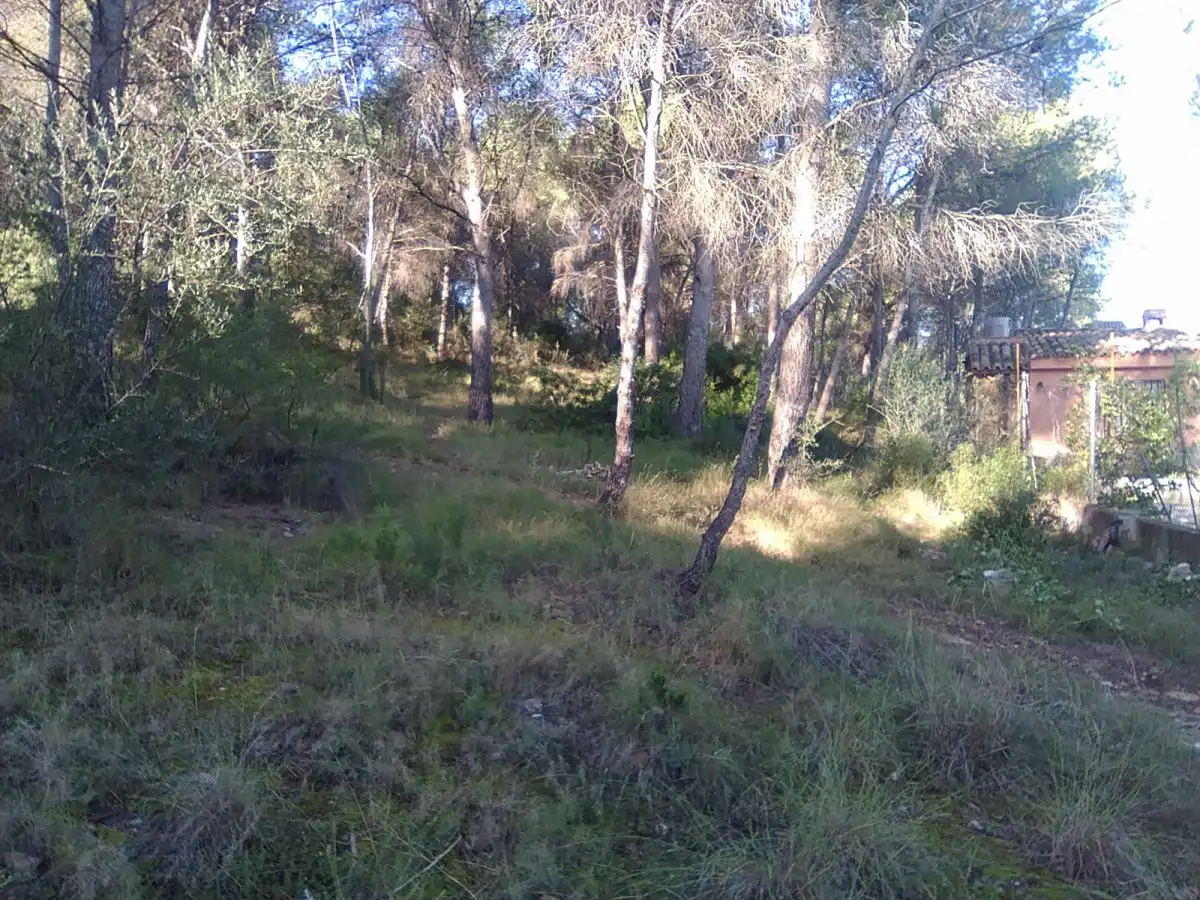 Terrenys i solars en venda a Estivella, imagen 2