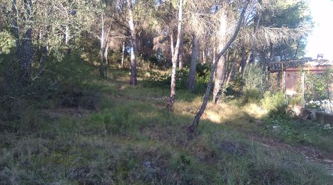 Parc. Rúst. en venta en Montaña., immagine 2