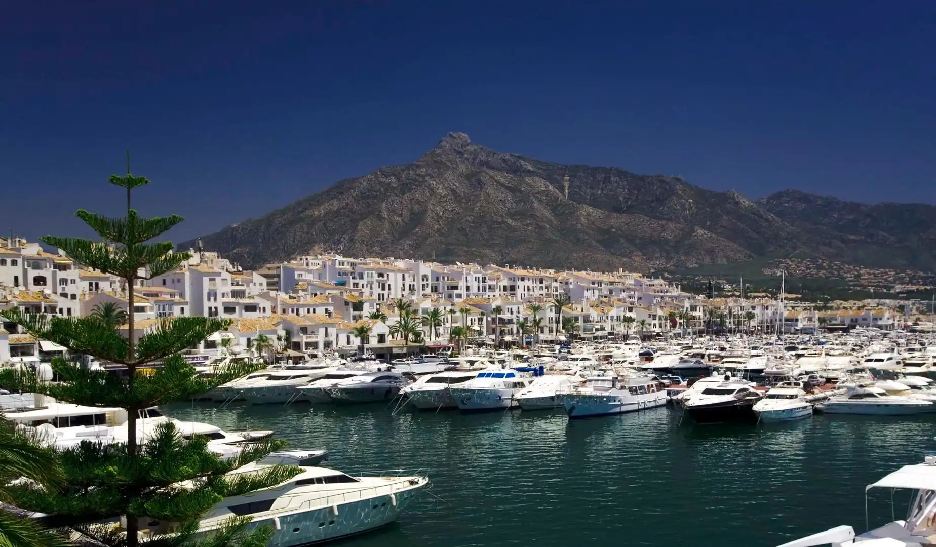 Vista exterior de Residencial en venda en Marbella