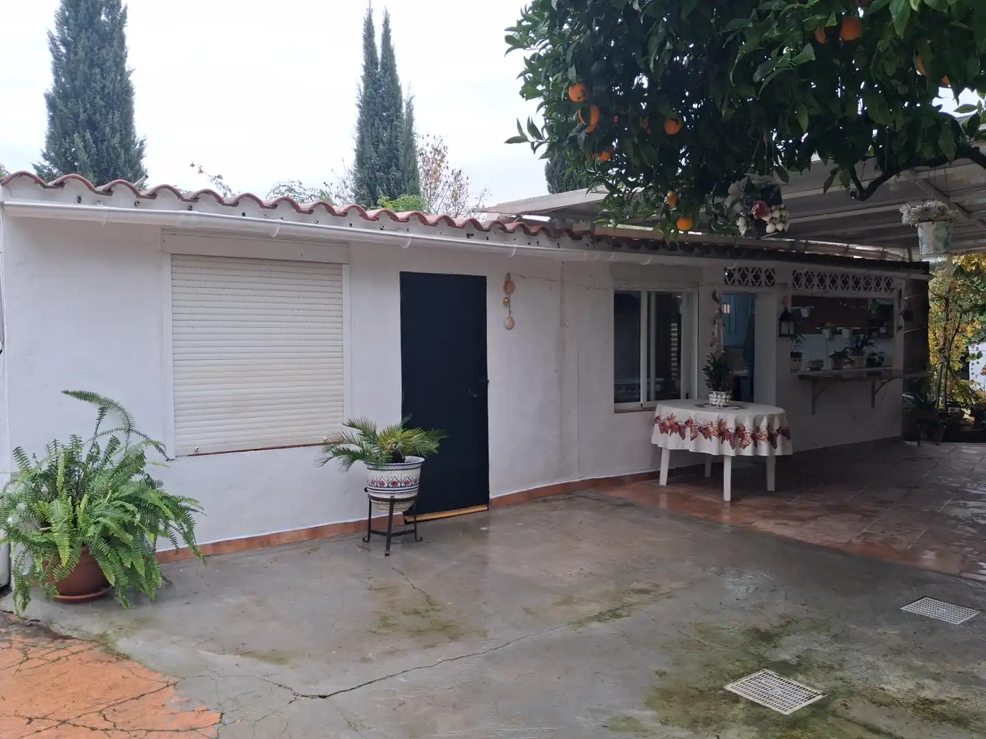 Vista exterior de Casa o chalet en venta en Castilleja de la Cuesta con Aire acondicionado, Calefacción y Jardín privado