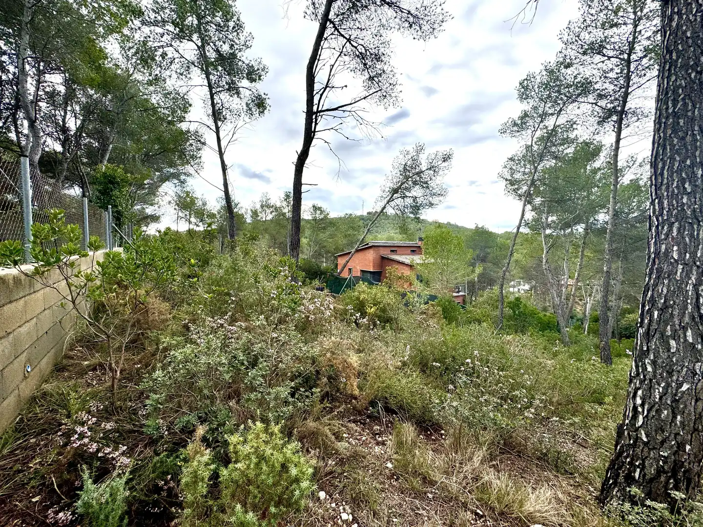 Grundstücke und Bauplätze zum Verkauf in Olivella, imagen 9
