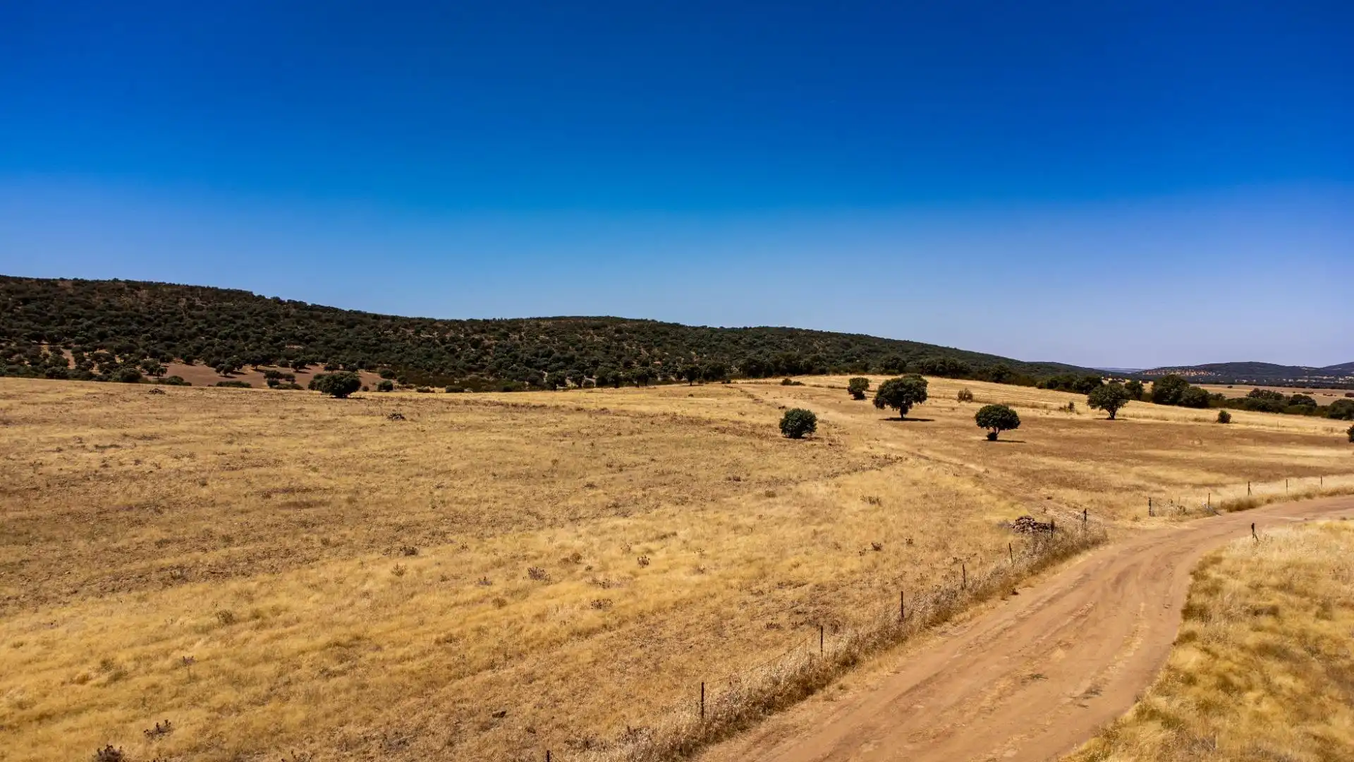 Terreno en venta en Peñarroya-Pueblonuevo