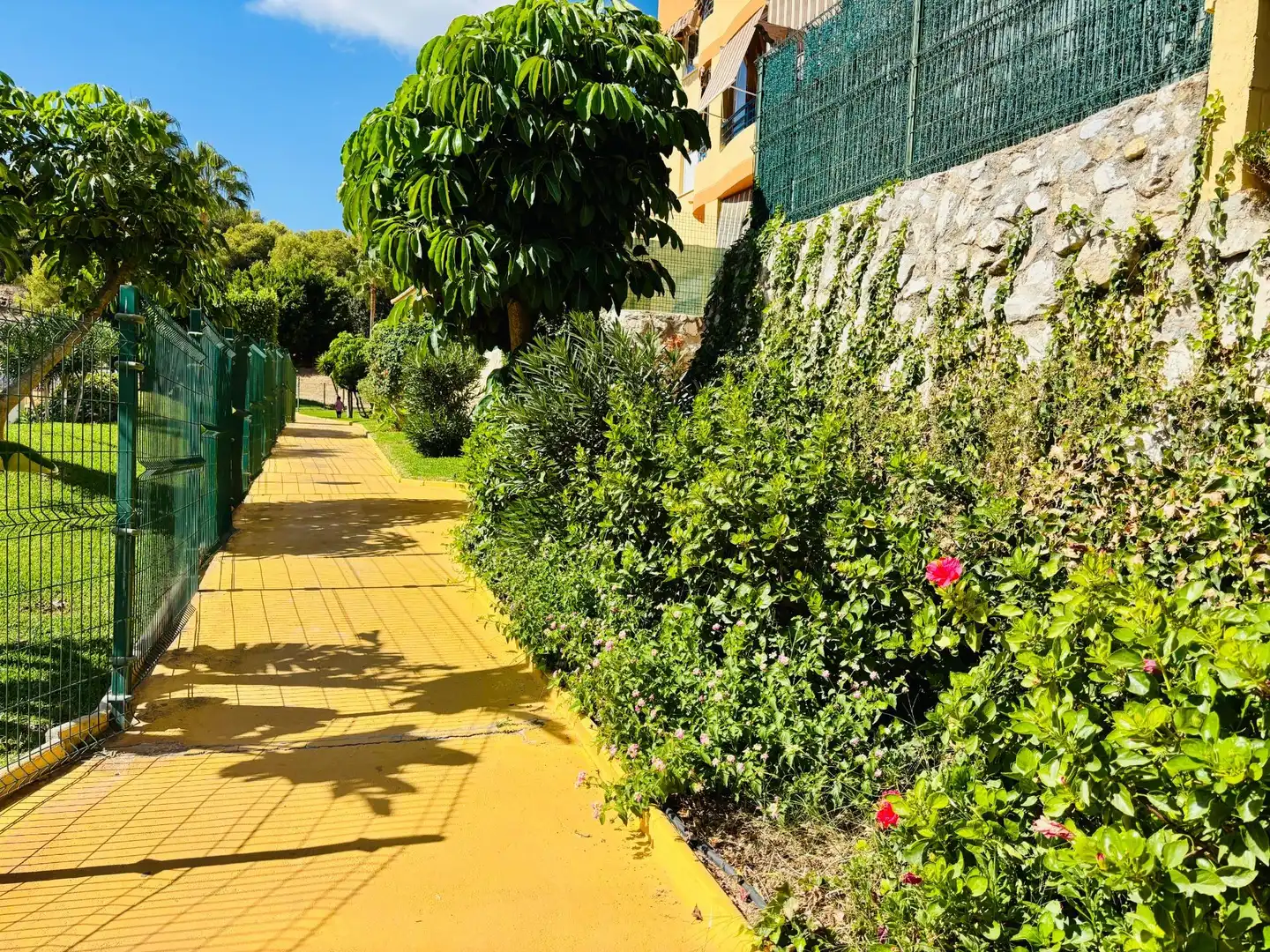 Bajo con piscina en venta en JUAN ROSA MATEO, imagen 45