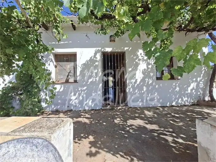 Terreni e lotti in vendita a Vélez-Málaga ciudad
