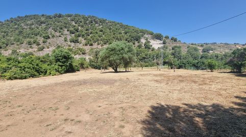 Foto 3 de Finca rústica en venda a Coín, Málaga