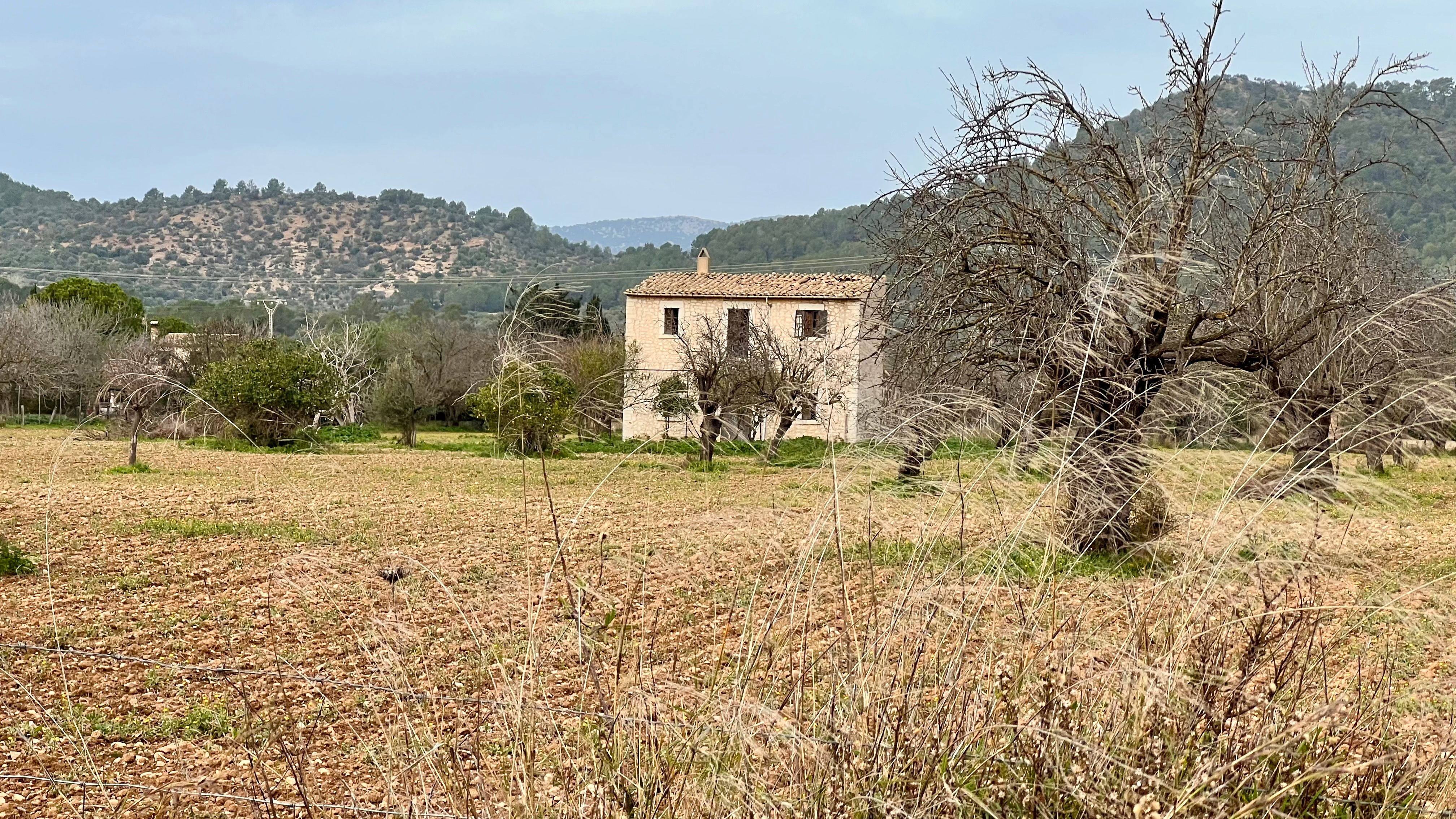 Country house for sale in Binissalem
