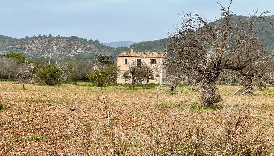 Photo 1 of Country house for sale in Binissalem, Illes Balears
