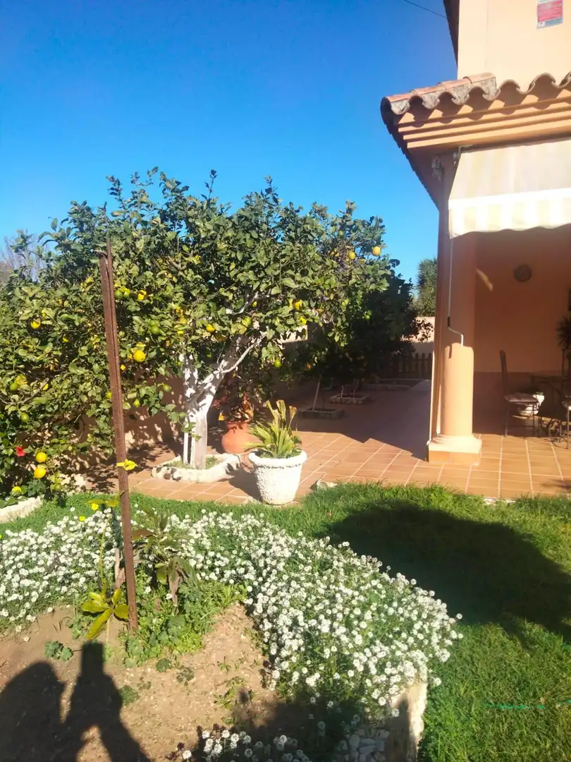 Jardí de Casa o xalet en venda en Chiclana de la Frontera