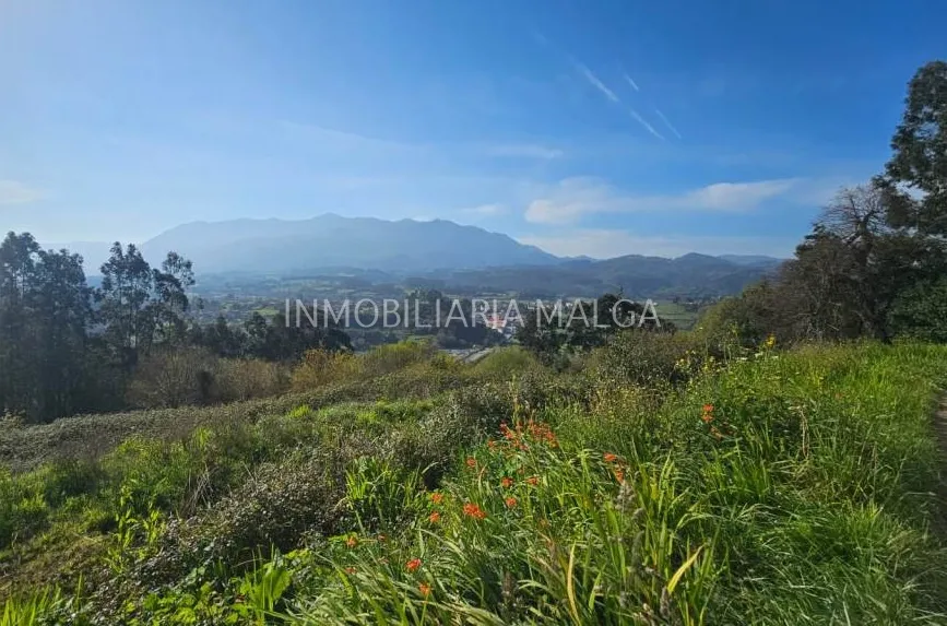 Residential for sale in Colunga