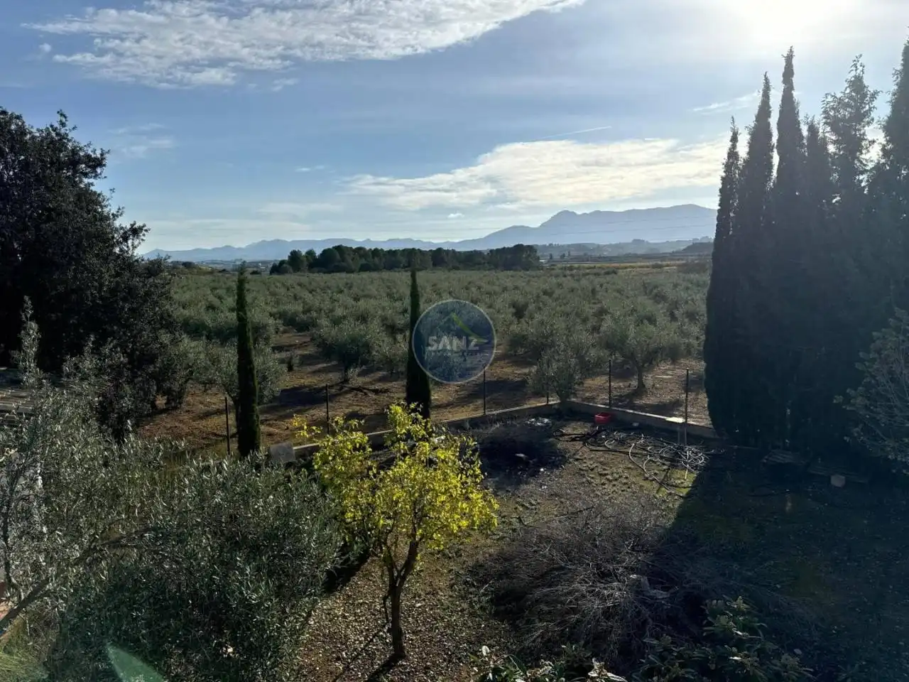 Chalet con jardín en venta en El Palomar, imagen 27
