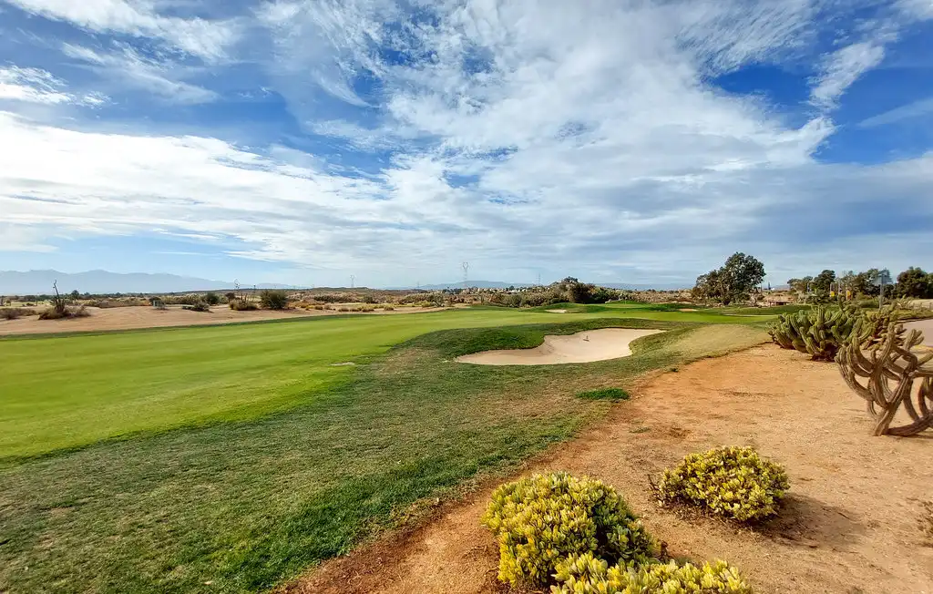 Detached house with pool for sale in Desert Spring Golf, imagen 33